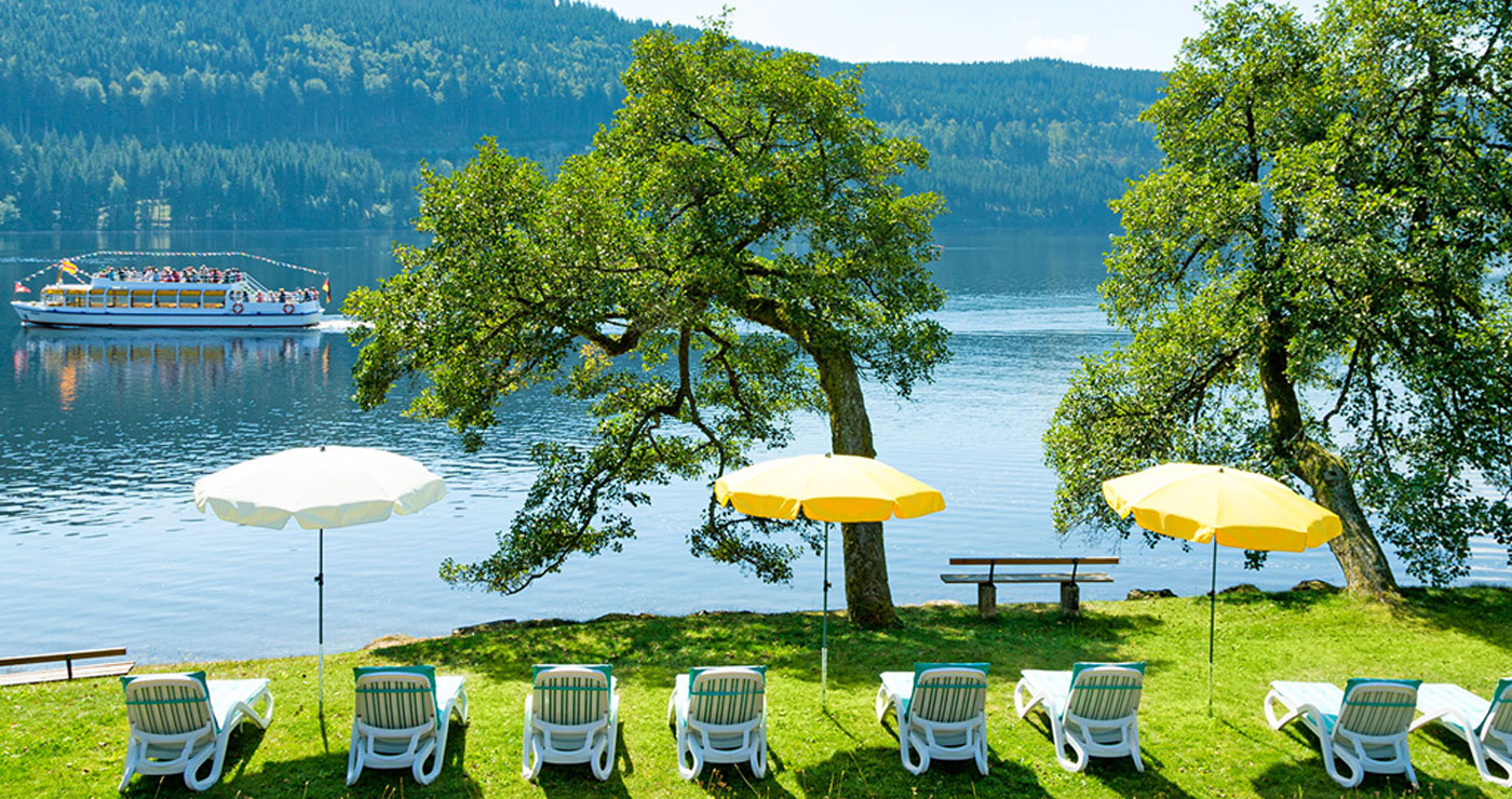 Wiese mit Liegestühlen und Sonnenschirmen am Ufer des Sees