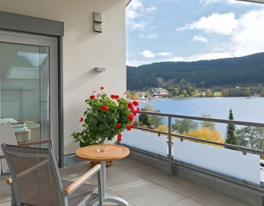 Blick von der Terrasse auf den See