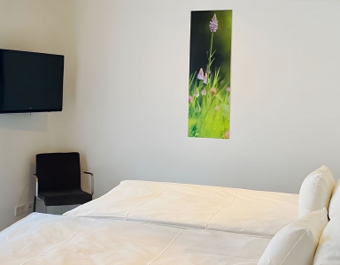 Zimmer mit Doppelbett, Fernseher und Wandbild.